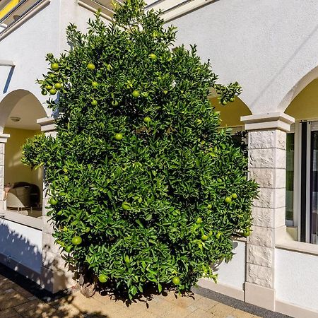 Apartments Palm Tree Trogir Exterior photo