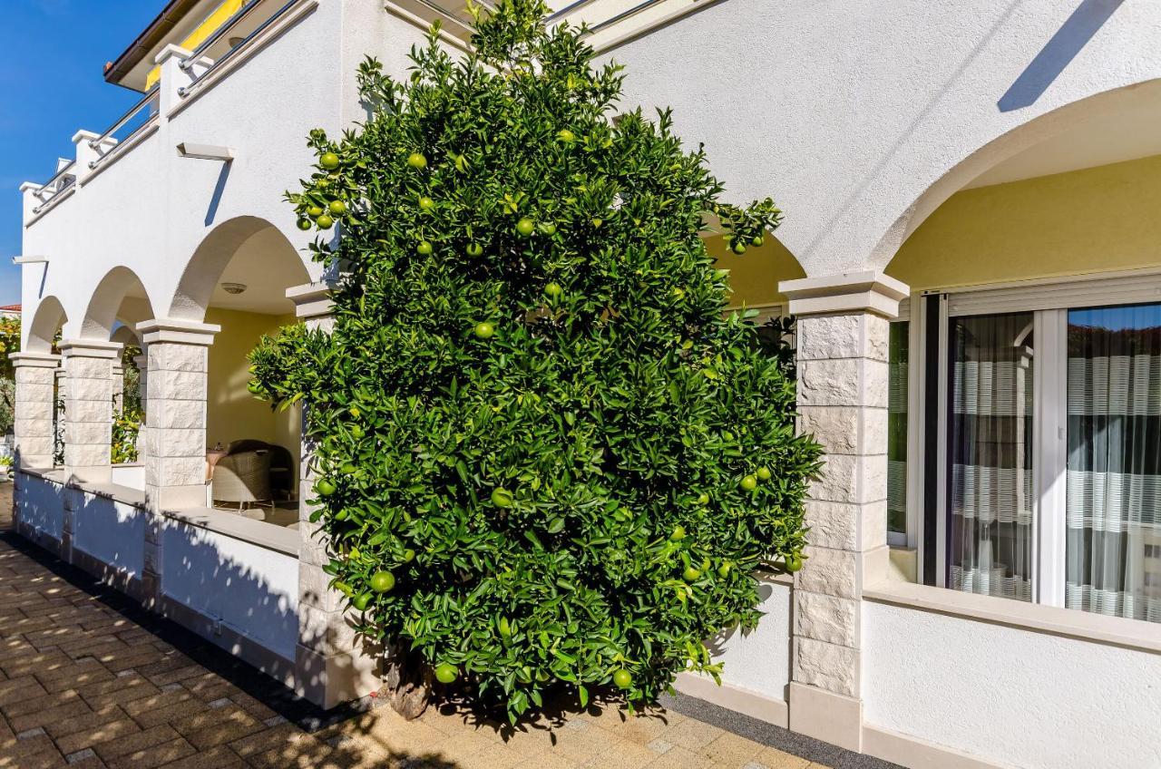 Apartments Palm Tree Trogir Exterior photo